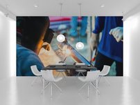 fototapeta zvarac interier 1