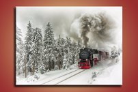 Parný Rušeň - VK 1001