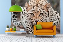 Tapeta Leopard - ZR 0094