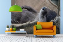 Tapeta Bobor - ZR 0083