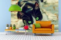 Tapeta Mačka - ZR 0096