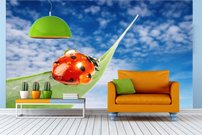 Tapeta ZR 0014 - Lienka