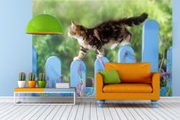 Tapeta Mačiatko - ZR 0098