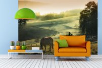 Tapeta Koníky - ZR 0099