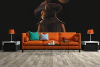 Tapeta Kocúr v čižmách - AN 0117