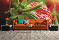 Tapeta Jahoda - JN 0089