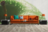 Tapeta Jablko - JN 0093