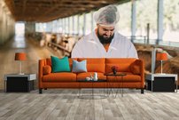 fototapeta pocitanie krav interier 2