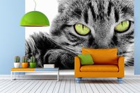 Tapeta Mačka - ZR 0002