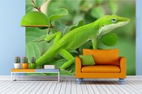 Tapeta Jašter - ZR 0100