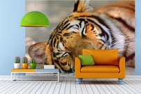Tapeta Tiger - ZR 0105