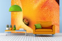 Tapeta Broskyňa - JN 0077