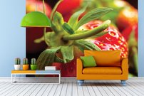 Tapeta Jahoda - JN 0089