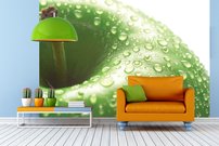 Tapeta Jablko - JN 0093