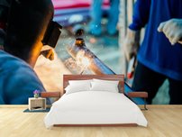 fototapeta zvarac interier 3