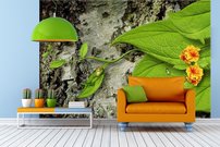 Tapeta Žabka - AN 0012