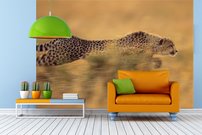 Tapeta Gepard - ZR 0088