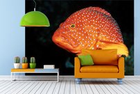 Tapeta Ryba - ZR 0089