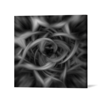 Obraz na stenu Bezfarebný kvet - AB 0021