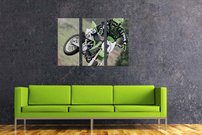 obraz motorkar 3
