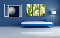 obraz na stenu kvety tulipány 3 dielne