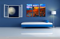 Obraz na stenu makove pole 4