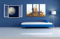 obraz na stenu safari 4