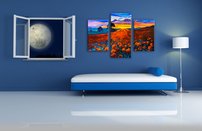 Obraz na stenu makove pole 5