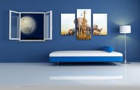 obraz na stenu safari 5