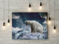 obraz na stenu ladovy medved - 5
