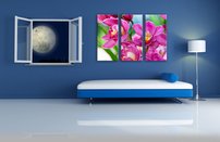 obraz thajske orchidey 3-dielny izba