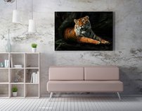 obraz na stenu tiger - 5