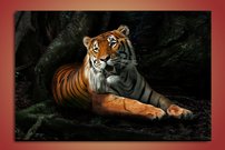 obraz na stenu tiger - 1