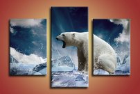 obraz na stenu ladovy medved - 2