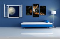 obraz na stenu tiger - 9