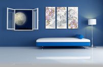 obraz na stenu kvet OD 9