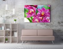 obraz thajske orchidey obyvacka 2