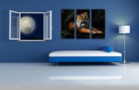 obraz na stenu tiger - 10