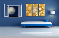 obraz na stenu 3D tapeta kvet 3 dielne