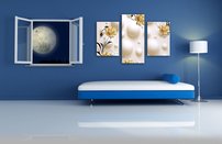 obraz na stenu 3D tapeta kvet 3 dielne