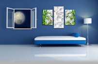 obraz na stenu 3D tapeta kvet 3 dielne