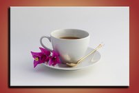 obraz na stenu salka OD 6 titulná strana