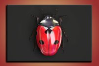 obraz na stenu lienka OD 4 titulná strana