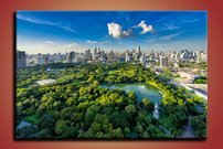 obraz na stenu moderny park - 1