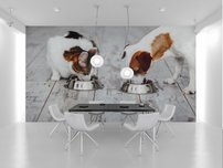 fototapeta na stenu pes a macka jedia jedlo 4