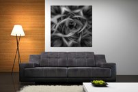 Bezfarebný kvet - AB 0021