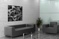 Bezfarebný kvet - AB 0021