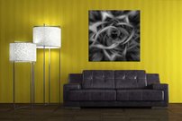 Bezfarebný kvet - AB 0021