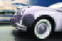 Tapeta Veterán - AM 0005