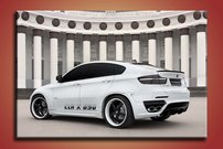 BMW X6 - AM 0132